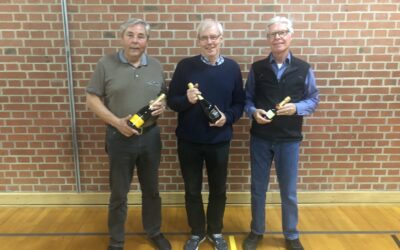Minivolleyballmeisterschaft Senioren